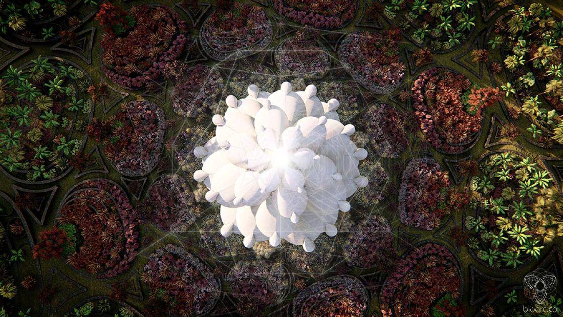 Flower dome